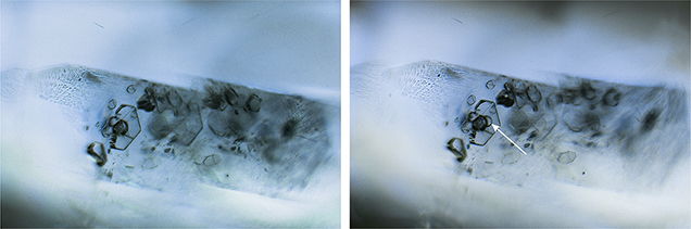 Negative crystals within this euhedral sapphire inclusion (left) displayed a CO<sub>2</sub> bubble (right) after exposure to low temperatures.