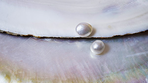 Two challenging pearls