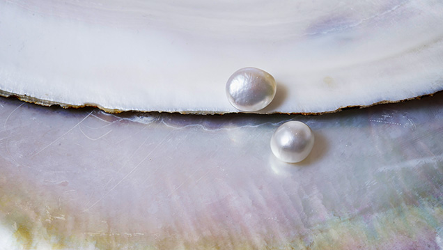 Gemological and Chemical Characteristics of Natural Freshwater Pearls from  the Mississippi River System