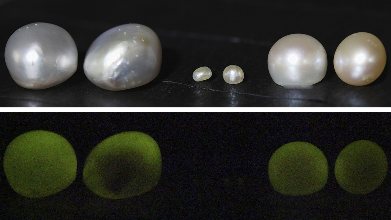 How To Tell If Pearls Are Real - 7 Quick Easy Steps – PEARL-LANG®