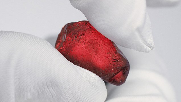 40.23 ct Rhino ruby from Mozambique
