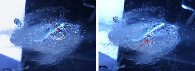 Sapphire containing a negative crystal with a mobile CO<sub>2</sub> bubble.
