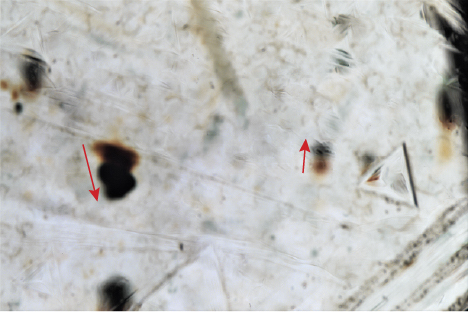 Radiation stains on a rough diamond crystal.