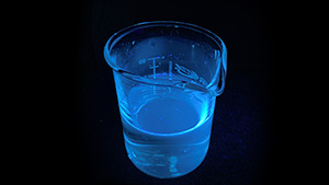 Blue fluorescence emitted by optical brightener solution