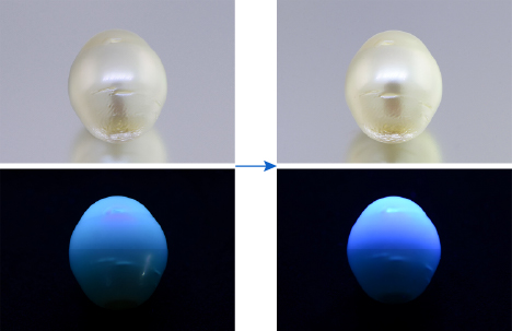 Fluorescence reaction of white South Sea cultured pearl
