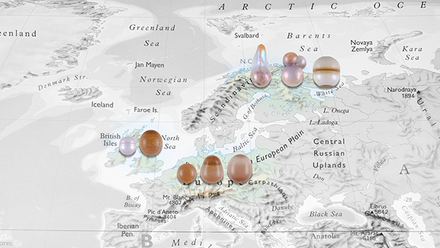 Eight European natural freshwater pearls from Margaritifera margaritifera mussels.