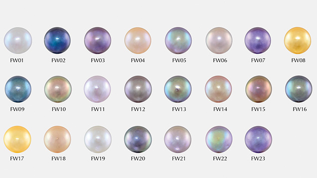 “Edison” Chinese freshwater cultured pearls from this study