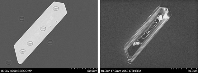 Use of backscattered electron imaging (left) and cathodoluminescence imaging (right) to determine age of zircon inclusion and host.