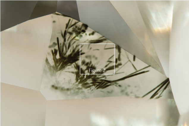 Blade-like green radiation stains are present in this Fancy grayish green diamond.