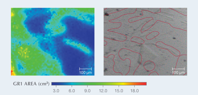 Map of integrated area (left) and reflected light image (right) revealing radiation stains coincident with acicular indentations.
