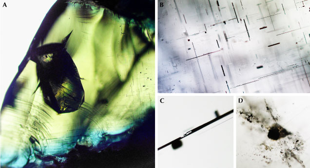 Microscopic observations of ekanite inclusions.