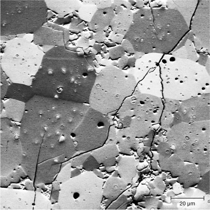 FSE image of ekanite showing predominantly crystal-orientation contrast.