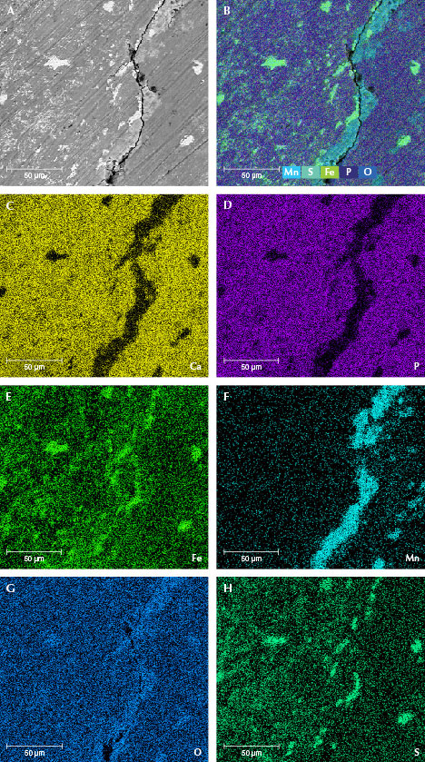 Figure 10. Element maps from EDS data showing iron sulfide, manganese oxide, and manganese hydroxide mainly crystallized on the surface of sample MI-8. The BSE image (A) and an integrated element distribution map (B). EDS mapping of calcium (C), phosphorus (D), iron (E), manganese (F), oxygen (G), and sulfur (H).