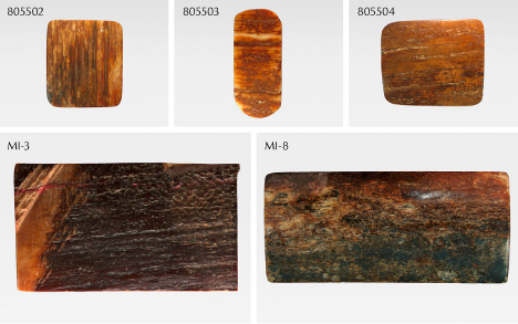 Figure 2. The five mammoth ivory samples in this study weighed 4.16–37.48 g and ranged from 2.8 × 2.5 × 0.6 cm to 6.5 × 3.0 × 1.0 cm. Photos by Zhaoying Huang.