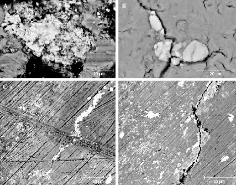 Figure 8. BSE images of samples MI-3 (A and B) and MI-8 (C and D) showing newly formed particles (particles with brighter color) filling cracks and irregularly distributed on the non-crack area on the mammoth ivory’s surface. The long dark diagonal lines in images C and D are polish lines.