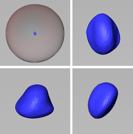 Figure 4. The 3D models generated using &mu;-CT scans show the blue area as the metallic core, while the surrounding area represents the pearl&rsquo;s growth structure.
