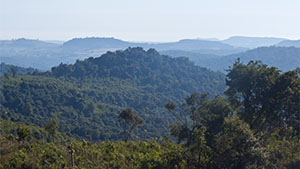 GIA participates in two sustainability panels during the 2023 JCK Las Vegas show.