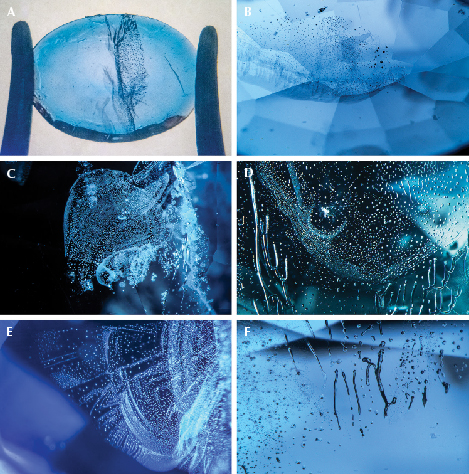 Figure 4. Nickel-diffused spinel shows subtle color concentration along facet junctions (A and B) and features suggesting flux-assisted healing of the fractures during the heating process (C–F). Photos by Aaron Palke; fields of view 10.24 mm (A), 2.90 mm (B), 2.34 mm (C and D), 1.76 mm (E), and 1.99 mm (F).