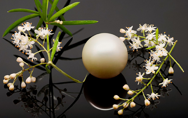 Figure 1. The large round bead cultured pearl weighing 54.96 ct and measuring 19.90 × 19.53 mm. Photo by Gaurav Bera.