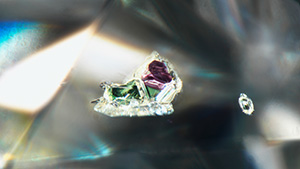 This “snail” inclusion was viewed through the upper half facet of a 4.00 ct near-colorless diamond. The purple-red “shell” was identified as pyrope garnet, while the green “body” was determined to be diopside. Photomicrograph by Christopher Vendrell; field of view 1.99 mm.