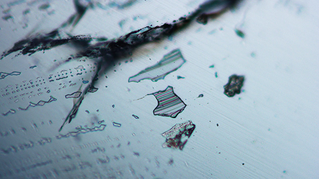 Figure 2. Thin-film liquid inclusions and visible internal tubes parallel to the <em>c</em>-axis with spectral interference colors were observed in the aquamarine samples. Photomicrograph by Yubing Chen; field of view 0.70 mm.
