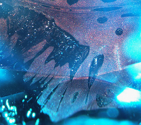 Figure 2. Fiber-optic light showed particles with metallic luster distributed in planar form. Under brightfield or darkfield illumination, the particles’ low relief made them almost invisible at first glance. Photomicrograph by Kanako Otsuka; field of view 1.55 mm.