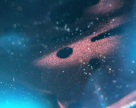 Figure 3. Further magnification revealed the arrangement of particles in a moiré pattern. Photomicrograph by Shunsuke Nagai; field of view 0.93 mm.