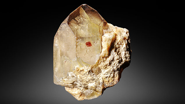 Figure 1. Weighing 178.42 ct and measuring 44.00 mm in length, this smoky brown quartz crystal from Ramona, California, hosts a 3.3 mm garnet. Photo by Annie Haynes.