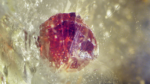 Figure 2. The 3.3 mm dark reddish orange isometric crystal in this smoky quartz was identified through Raman analysis as spessartine. Photomicrograph by Nathan Renfro; field of view 7.20 mm.