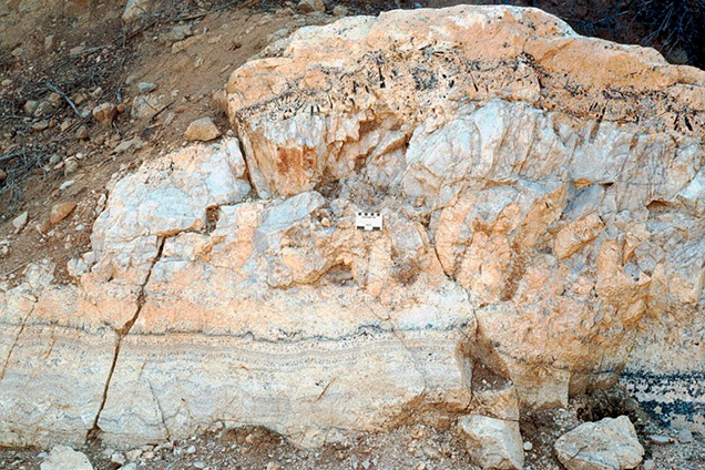 Figure 2. Exposed cross section of a zoned pegmatite dike consisting of large tan K-feldspar crystals below a central white quartz core; a mixture of Na-feldspar, quartz, and tourmaline grains above the core; and banded fine-grained minerals (known as “line rock”) along the base. This photo was captured in 1979 at the San Diego mine near Mesa Grande in San Diego County, California. Courtesy of David London.