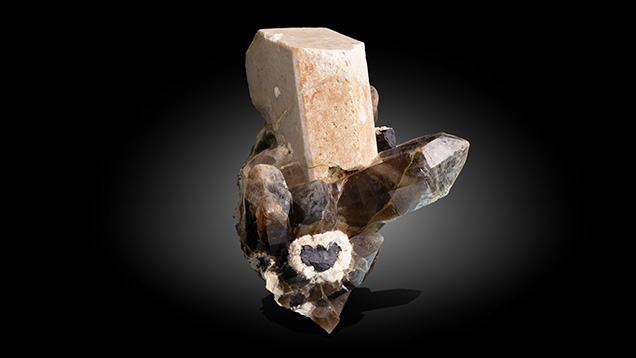 Figure 9. Large microcline crystal with smoky quartz, albite feldspar, and tourmaline from the Oceanview mine near Pala in San Diego County, California. The specimen measures 46 × 30 × 30 cm and the microcline crystal 25 × 25 × 13 cm. Photo by Mimi Travis.
