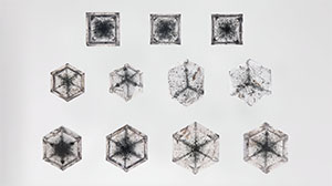 Figure 1. Slices, cut perpendicular to the tetrad axis (top row) and the triad axis (middle and bottom rows). Photo by Tsang Ho Yin.