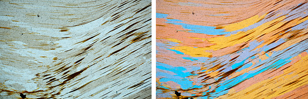 Figure 18. Thin section of tiger’s-eye under cross-polarized light (left) and with a lambda plate inserted to enhance the contrast across grain boundaries (right). The dark brown needles are the iron oxide/hydroxide from weathered amphibole. Photomicrographs by Amir C. Akhavan; field of view 1.5 mm.
