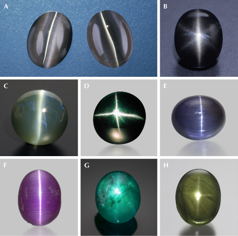 Figure 19. A. A 1.72 ct fiber-optic glass cabochon (left) looks visually identical to a 1.78 ct cat’s-eye sillimanite (right). B: A black star scapolite. C: A 125.46 ct cat’s-eye zircon. D: A four-rayed star diopside. E: A 2.69 ct cat’s-eye tanzanite; courtesy of John I. Koivula. F: A 2.73 ct cat’s-eye pezzottaite from Madagascar; courtesy of John I. Koivula. G: A 25.86 ct star emerald; courtesy of Manuel Marcial de Gomar. H: A 22.21 ct four-rayed star peridot. Photos by Shane F. McClure (A), Robert Weldon (B, G, and H), ICA (C), Mike Havstad (D), and Emily Lane (E and F).