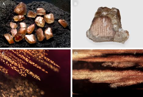 Figure 21. A: Rough Oregon sunstones showing strong schiller from copper platelets. B: A 20 ct rough Oregon sunstone from the Ponderosa mine. C and D: Copper platelets of different sizes and shapes in Oregon sunstone. Photos by Desert Sun Mining & Gems (A), Robert Weldon (B), and Rosie Young (C and D); fields of view 3.57 mm (C) and 5.14 mm (D).