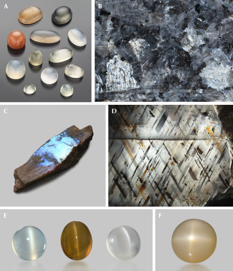 Figure 30. A: Moonstone cabochons of various colors from India (113.79 carats total); in memory of Dr. Frederick H. Pough. B: An iridescent anorthoclase in larvikite from Norway (commercially known as “blue pearl”). C: A 2.6 cm long rough moonstone fragment from the U.S. state of Wisconsin, showing strong blue iridescence. D: A rainbow lattice sunstone from Australia showing white iridescence. E: Three cat’s-eye moonstones (left to right: 13.1, 6.36, and 6.08 ct) exhibiting chatoyancies of different sharpness; right stone gift of Beverly J. Bystricky, courtesy of GIA Museum, nos. 22154, 38696, and 39155. F: A four-rayed star moonstone (17.3 ct) from Madagascar; courtesy of GIA Museum, collection no. 19470. Photos by Emily Lane (A, B, and F), Shiyun Jin (C and D), and Orasa Weldon (E).