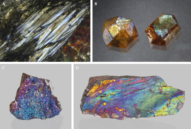Figure 31. A: Elongated orthoamphibole crystals in Nuummite showing blue and yellow iridescence; field of view 10.29 mm. B: Two polished iridescent andradite crystals from Sonora, Mexico (left, 12 ct; courtesy of GIA’s Dr. Edward J. Gübelin collection, no. 33283), and Nara, Japan (right, 11.39 ct; courtesy of Keiko Suehiro, GIA Museum no. 36136). C: Acid-treated chalcopyrite (7 cm wide) showing purple and blue iridescent tarnish on the surface; courtesy of Rachelle Turnier. D: Iridescent geothite (turgite) from Bukit Besi, Malaysia (12 cm long); courtesy of Rachelle Turnier. Photos by Nathan Renfro (A), Annie Haynes (B), and Emily Lane (C and D).