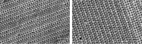 Figure 34. Left: SEM image of a precious opal-AG from California. Right: SEM image of a precious opal-CT from Mexico showing lepispheric structures. Images from Gaillou (2015).