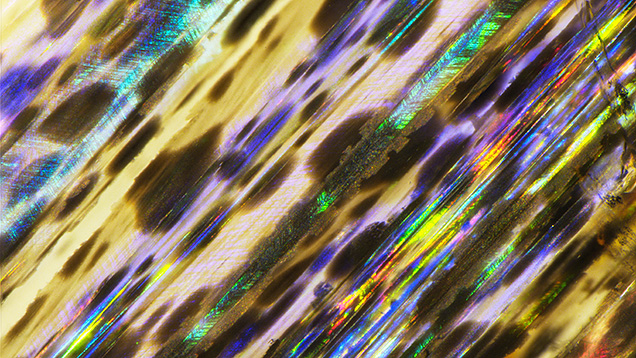 Figure 37. Magnetite inclusions in rainbow scapolite showing iridescence under reflected light. The iridescent color is observed only at certain angles due to diffraction. Photomicrograph by Nathan Renfro; field of view 4.8 mm.