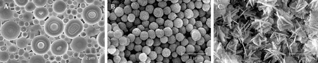 Figure 3. SEM images showing the silica spheres in common opal. Instead of solid concentric spheres (A and B), opal-CT and opal-C may contain lepispheres (spherical aggregates of blades, C). The spheres in common opal scatter light completely randomly due to the irregular arrangement, creating the typical milky appearance. The sizes of the silica spheres in common opal may cover a wide range (A) or be very similar to each other (B and C). Image A from Gaillou (2015) and B and C from Gaillou et al. (2008).