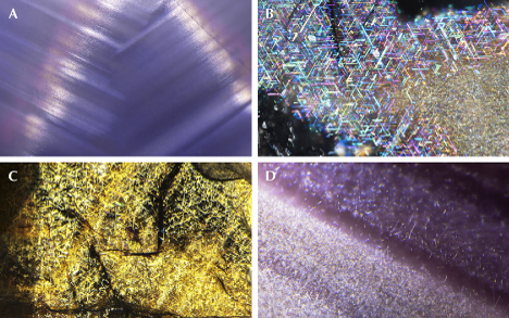 Figure 8. A: Fine rutile silk in a star sapphire. B: Rutile needles in a Burmese sapphire. C: Dense hematite and/or ilmenite needles in a sapphire from Kenya. D: Needle inclusions in a 12-rayed star sapphire. Photomicrographs by Nathan Renfro (A, C, and D) and Victoria Liliane Raynaud-Flattot (B); fields of view 4.62 mm (A), 0.97 mm (B), 2.44 mm (C), and 0.91 mm (D).