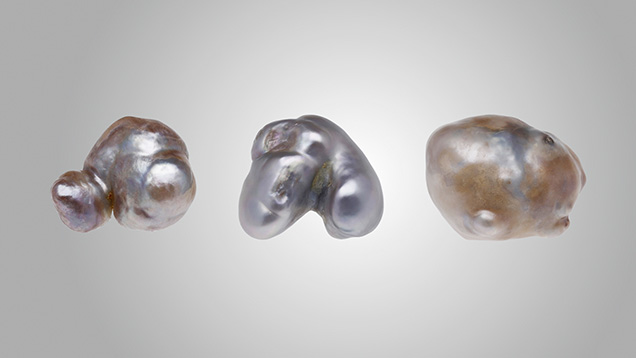 Figure 1. Three large, reportedly natural pearls with hollow interiors from the <em>Pinctada radiata</em> species from Bahrain, weighing 1.97, 3.92, and 6.13 ct, respectively. Photo by Gaurav Bera.