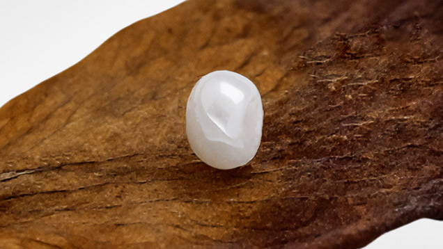 Figure 1. The white imitation pearl measuring approximately 1.70 × 1.12 mm and weighing 0.01 ct. Photo by Gaurav Bera.
