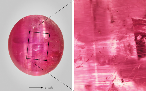Left: An 11.23 ct purplish pink pezzottaite cabochon, measuring 14.43 × 13.10 × 7.39 mm, displaying multiple cat’s-eyes. The arrow indicates the <em>c</em>-axis (i.e., the optical axis). Photo by Shunsuke Nagai. Right: These cat’s-eyes are produced by growth tubes likely bent by imperfect {001} cleavage planes. Photomicrograph by Taku Okada; field of view 4.80 mm. 