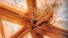 Intersecting needles of rutile form a “star” inclusion in this colorless quartz. Photomicrograph by Isabelle Corvin; field of view 2.2 mm.