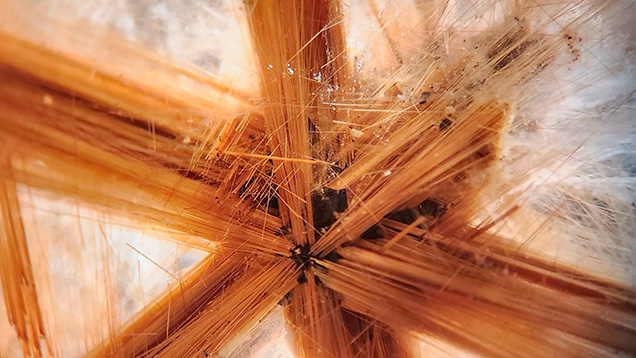 Intersecting needles of rutile form a “star” inclusion in this colorless quartz. Photomicrograph by Isabelle Corvin; field of view 2.2 mm.