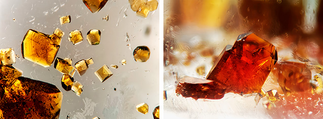 Left: Numerous orange-yellow to orange solid inclusions are visible within the transparent colorless quartz. Right: Closer observation reveals bright orange wedge-shaped crystals. Photomicrographs by Wingtak Lui; fields of view 5.1 mm (left) and 3.2 mm (right).