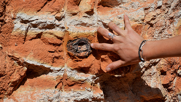 Boulder opal in ironstone concretion