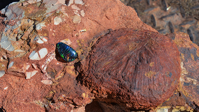 Boulder opal from Koroit