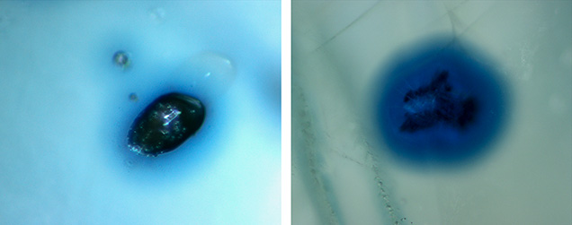 Blue halos around prismatic rutile in alluvial Montana sapphire